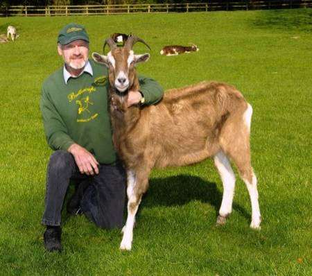 Buttercup Goat Sanctuary, Wierton Place, Boughton Monchelsea. Bob Hitch with Lucky the Goat.