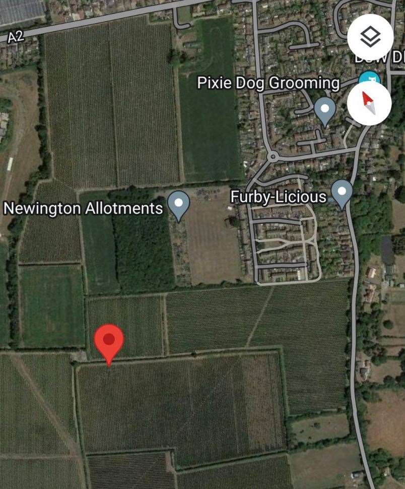 The location where Poppy was found in Newington. Picture: Google Maps
