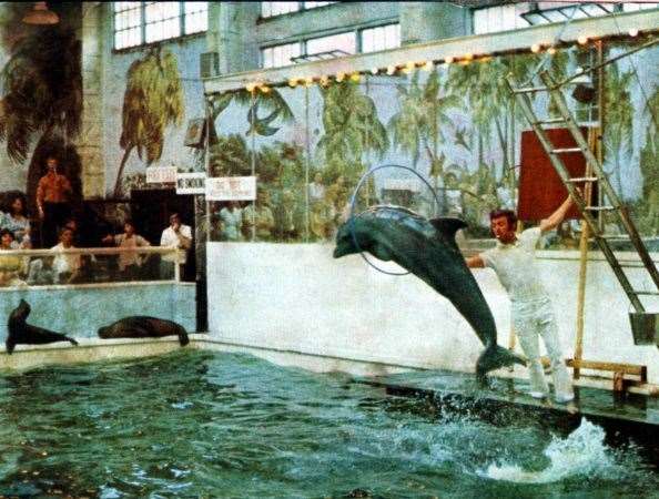 Margate's Dolphinarium was hugely popular in the 1960s and 70s. Picture courtesy: ukdolphinaria.blogspot.com