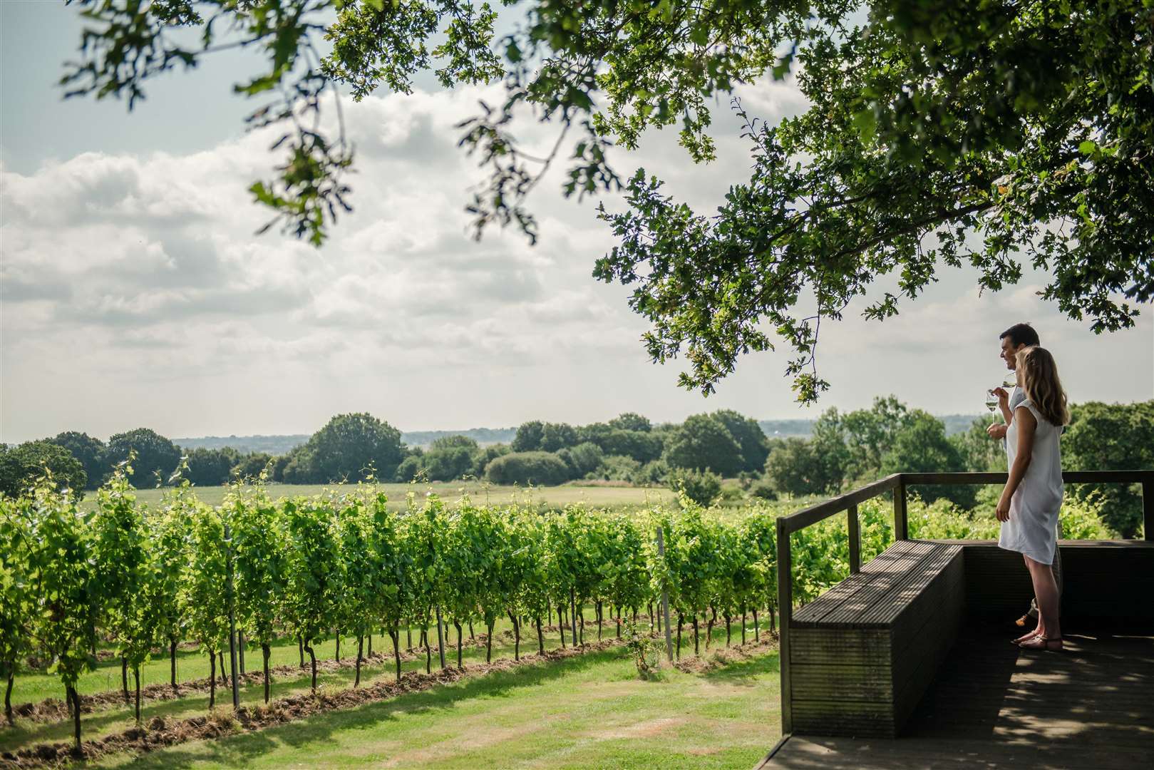 Gusbourne vineyard Picture: Visit Kent