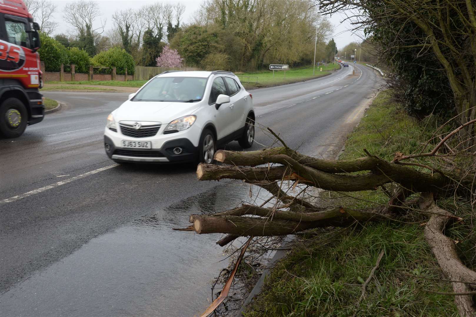 A felled tree protruding out onto London Road at Wrotham near the Invicta Business Park