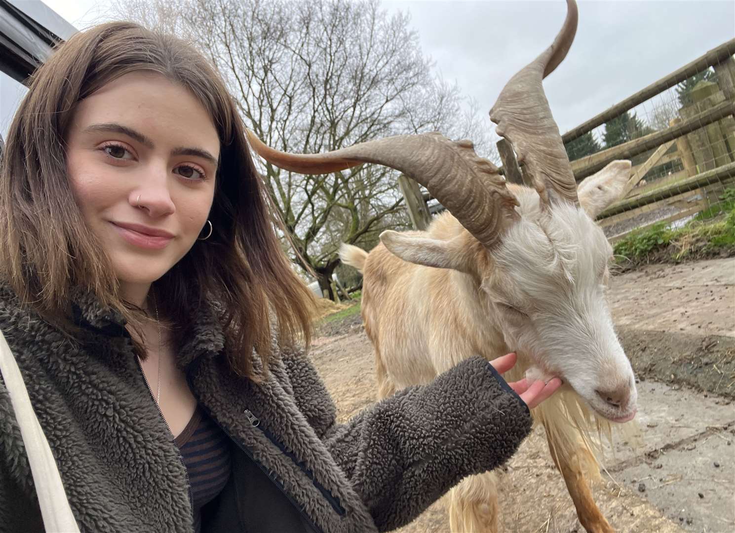 KentOnline reporter Charlotte Phillips with goat Ross