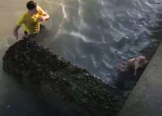 Llewan waded into freezing cold water to save the distressed pooch