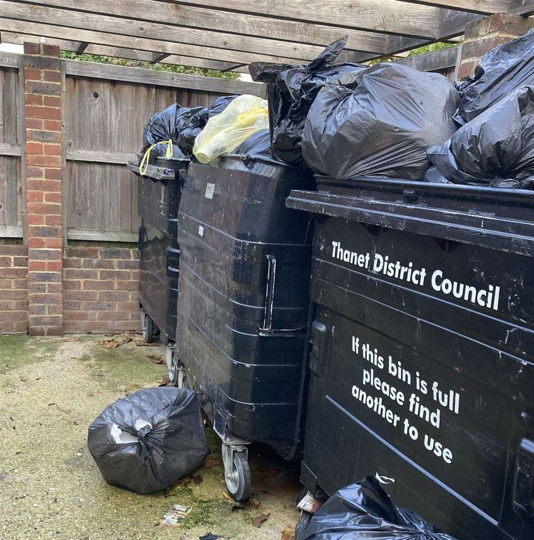 The bin that sparked the Thanet District Council worker to swear. Picture: @darling_natasha / Twitter