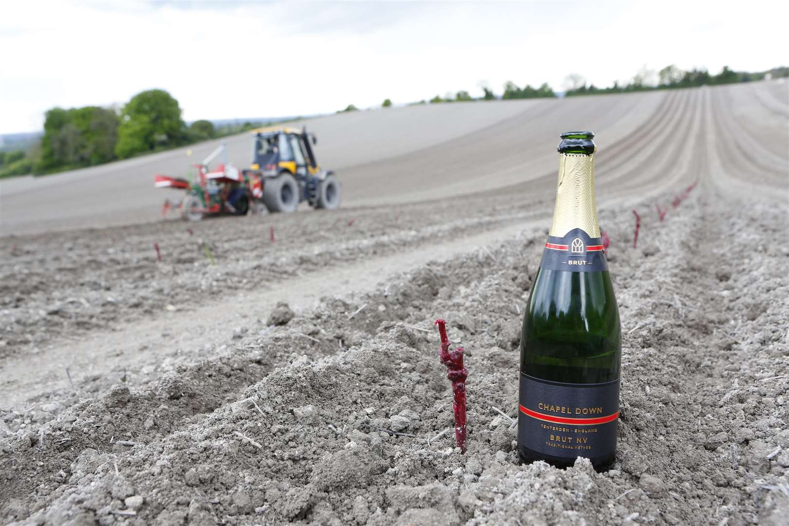 Chapel Down opens a new vineyards at Boarley Farm in Sandling, Maidstone. Picture: Andy Jones