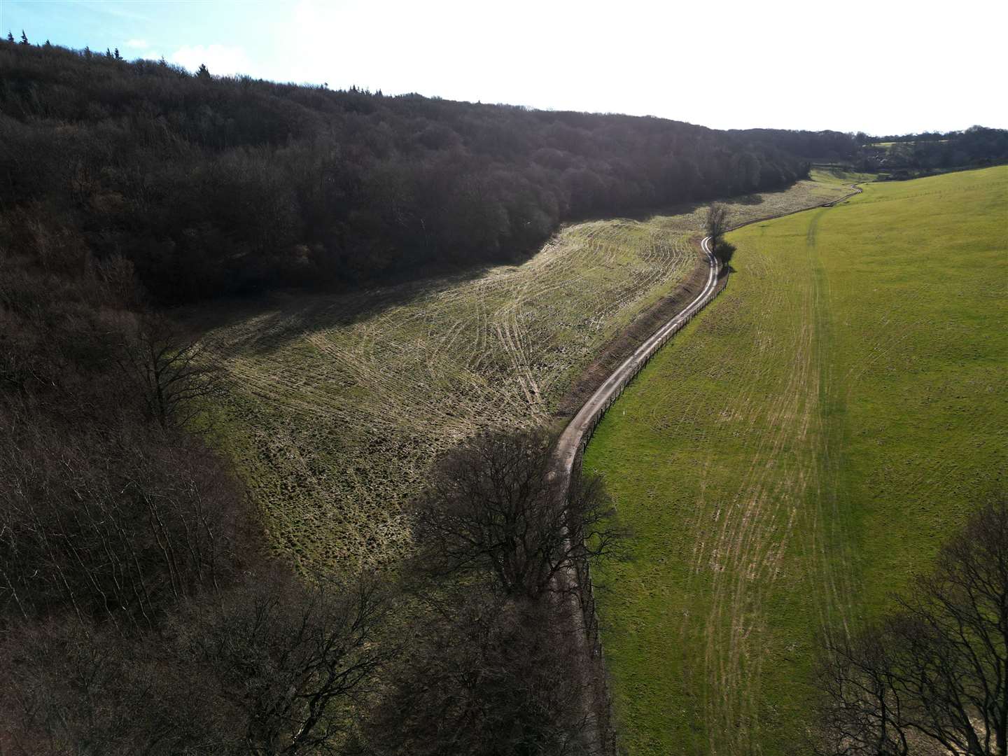 Woodland pictured above the field to the left is part of the site for sale. Picture: Barry Goodwin