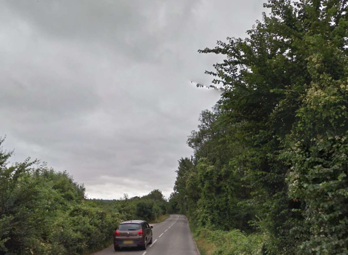 The couple found the animal in a field off Farleigh Hill. Picture: Google Streetview