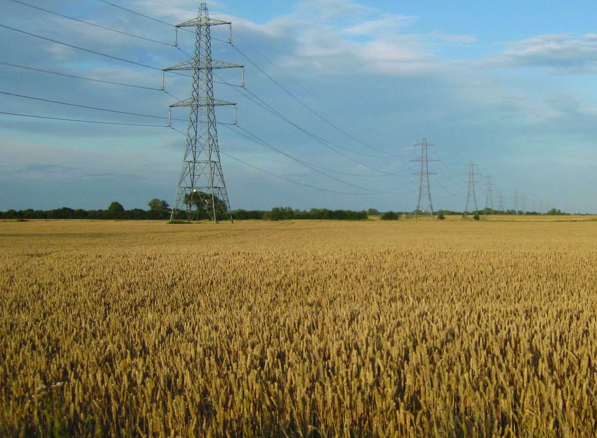 The larger style of pylon stands at 50m