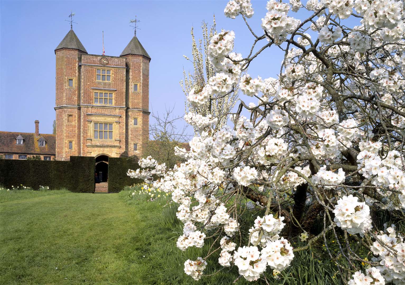 Apple blossom in the orchard at Sissinghurst Castle in March. Picture: National Trust / David Sellman