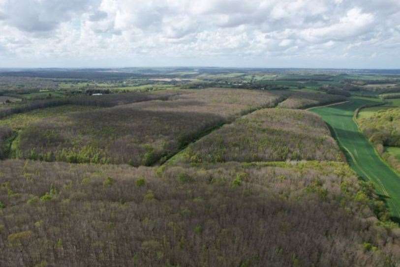 Upper Hardres Wood near Canterbury has a price tag of £1.5 million