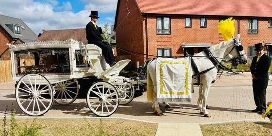 Ember took her final journey in a horse-drawn carriage. Picture: Louiza Arnold