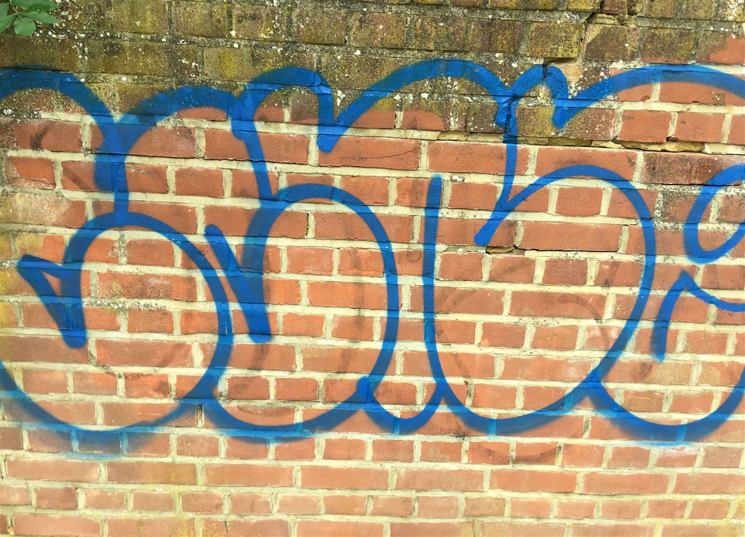 Graffiti in Maidstone town centre (12643756)