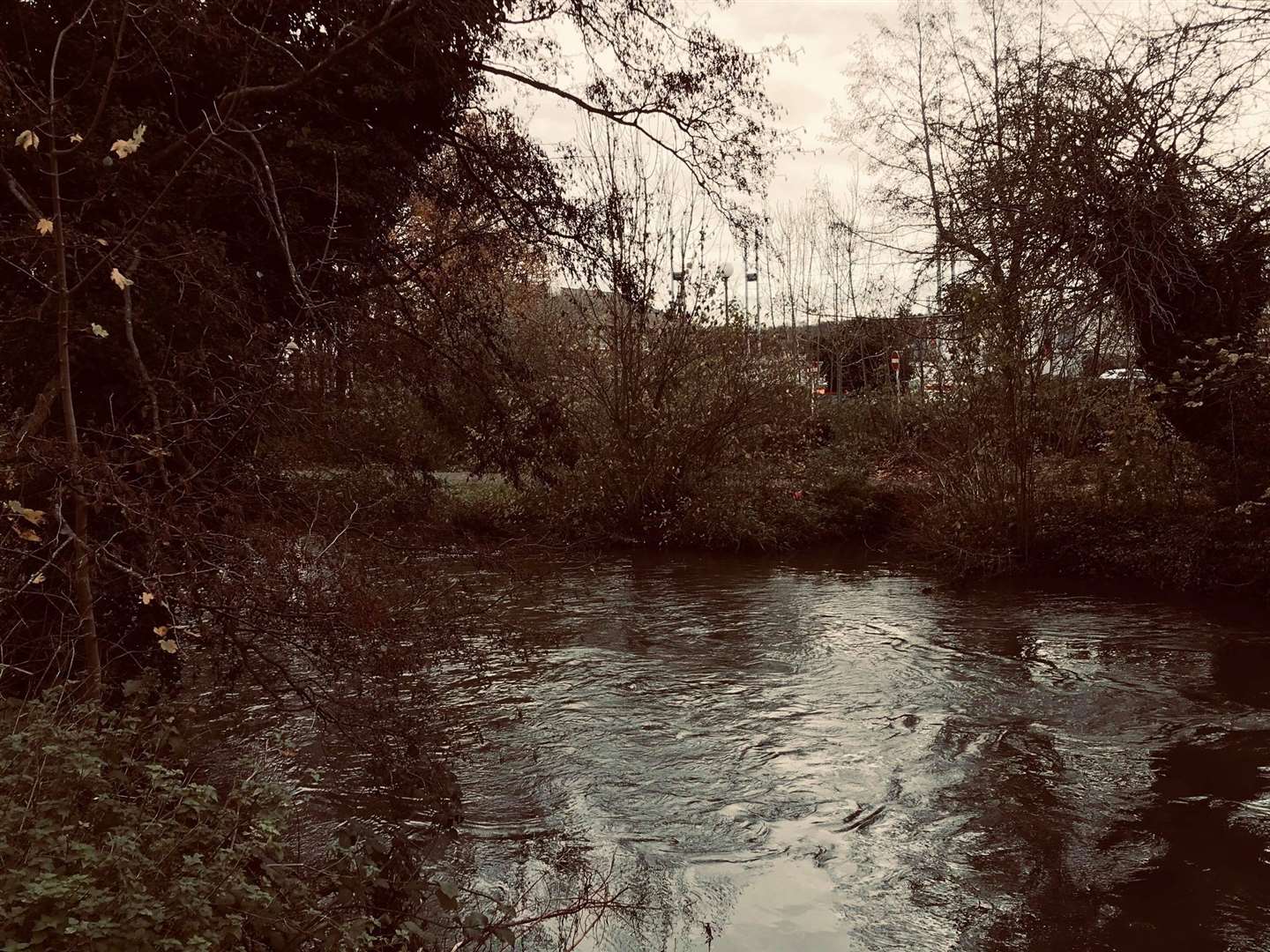 The spot where the group was targeting ducks on the River Stour