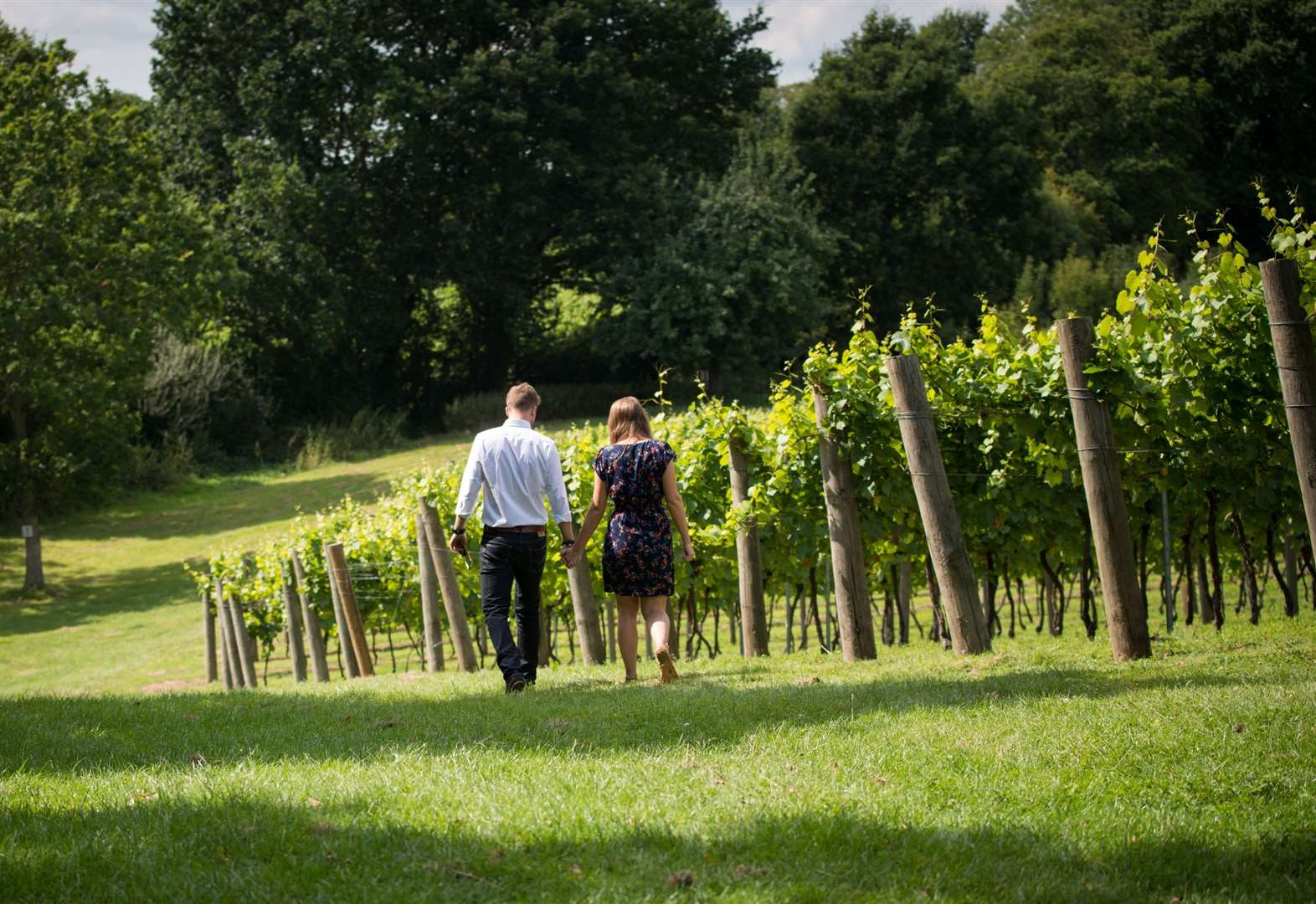 Cheers! Celebrate English Wine Week with these Kent vineyards