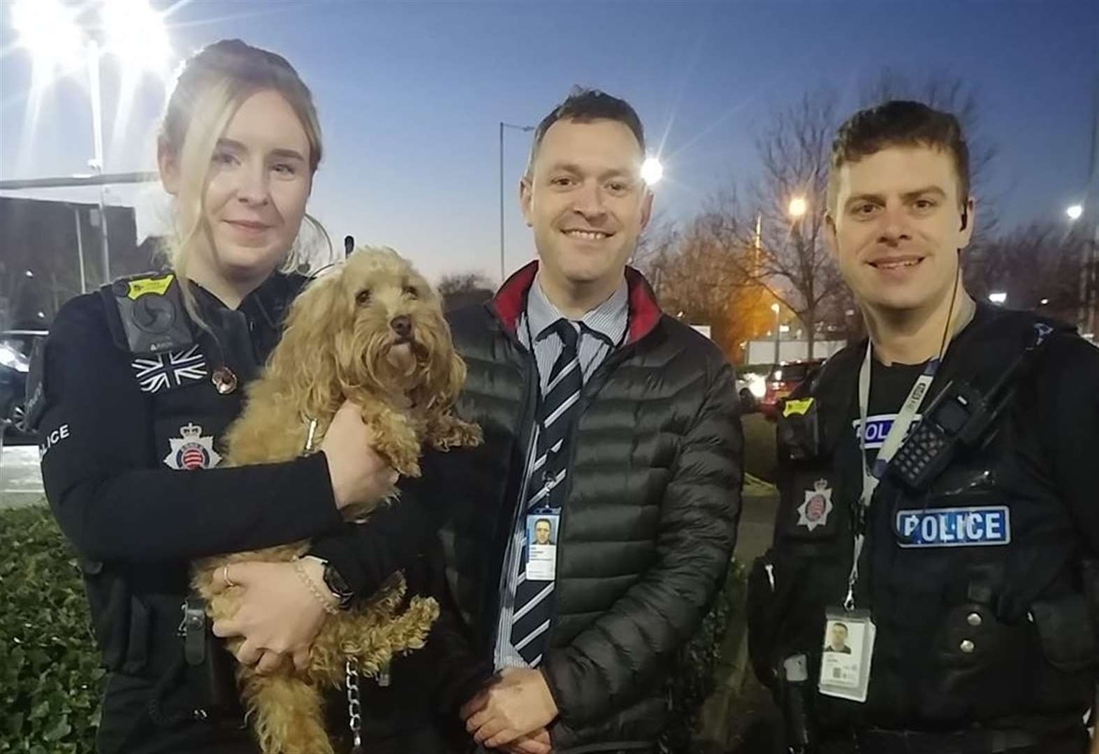 Missing dog 'home at last'