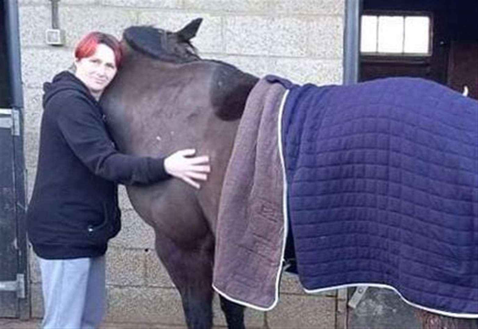 How horses are helping people with mental health struggles