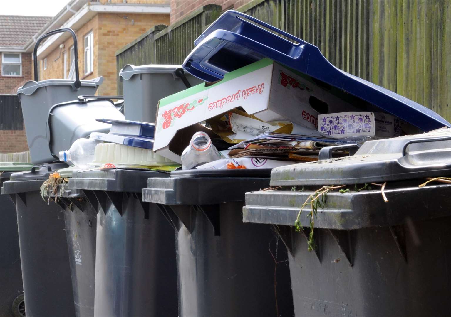 'Rigorous' checks on recycling bins as council warns they'll go unemptied 