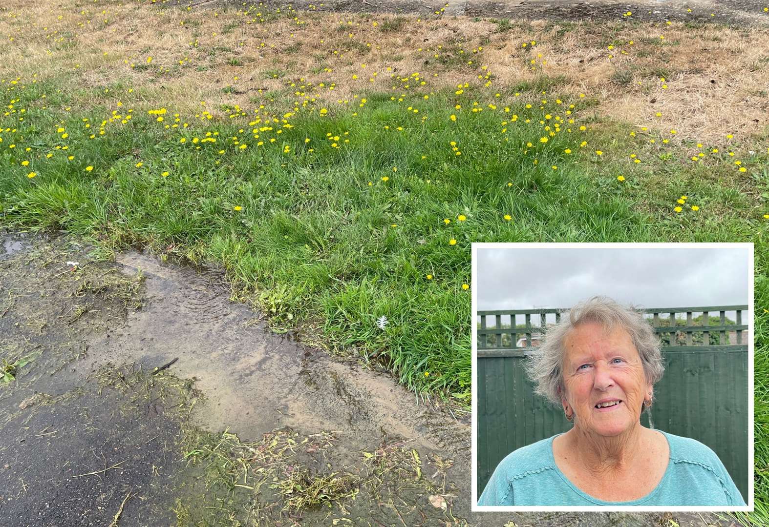 'Water leak has gone on so long the grass has turned green'