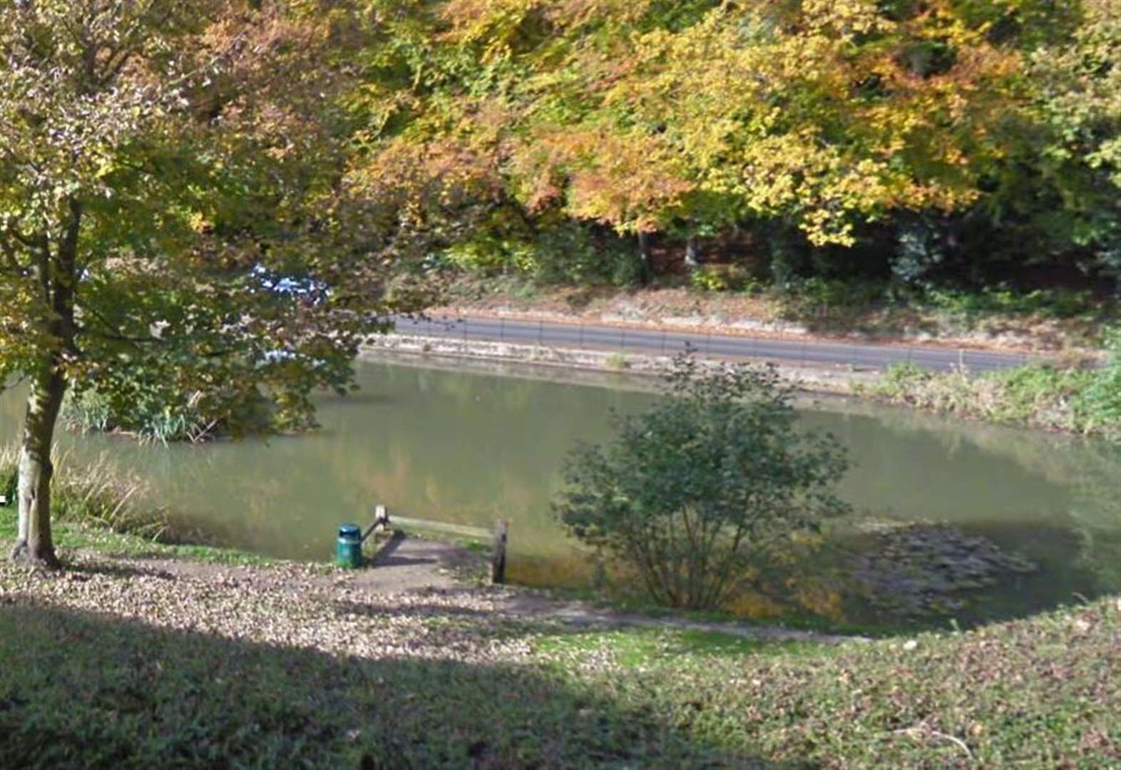 Council removes all fish from pond