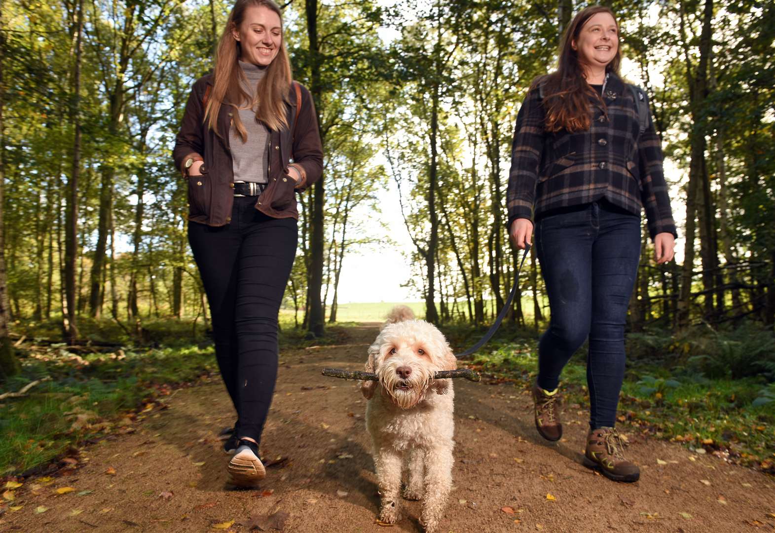 Pooch Passport launched for dog walkers