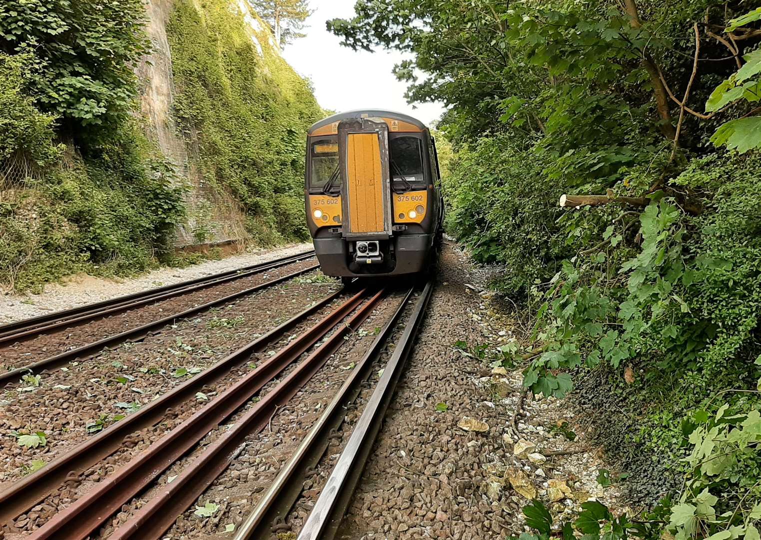 A trespasser has made their way onto the tracks between Dover Priory and Canterbury East. Picture: Southeastern