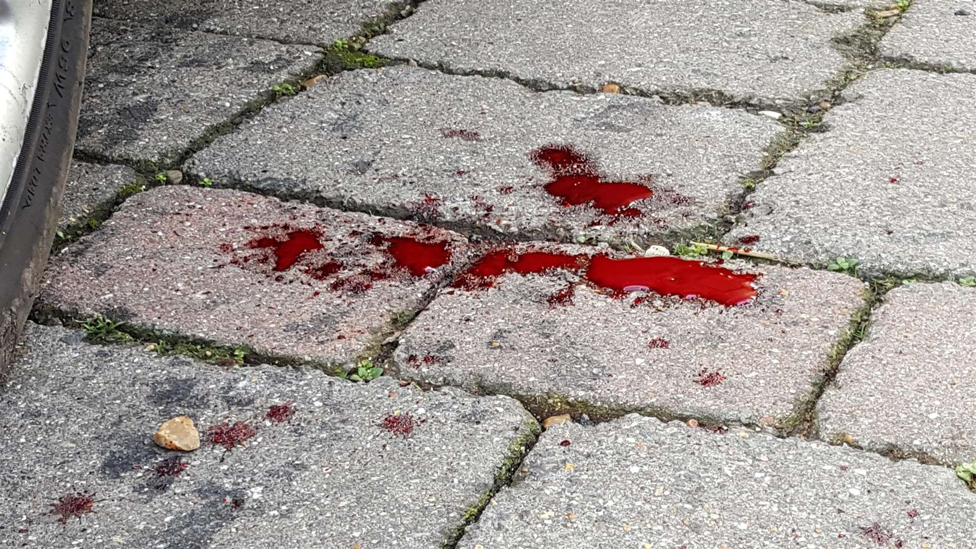 Blood on the drive outside a house on Canterbury Road in Willesborough, Ashford