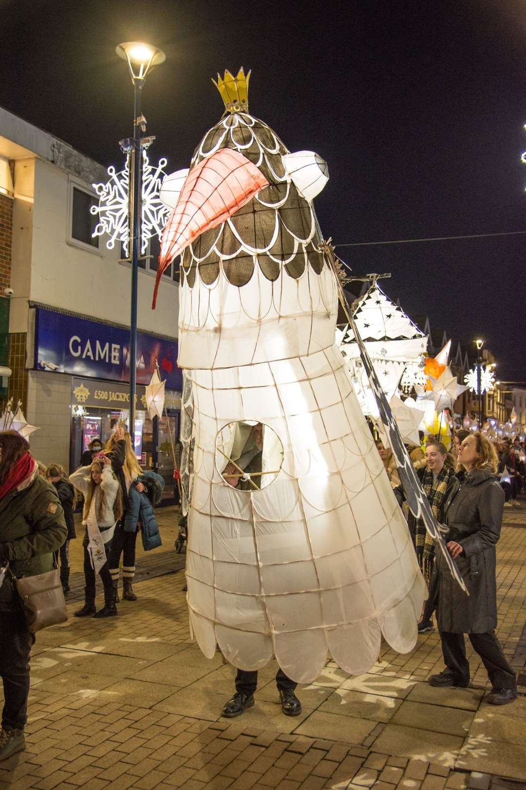 A scene from last year's Dover lantern festival. Picture:Brian van der Veen
