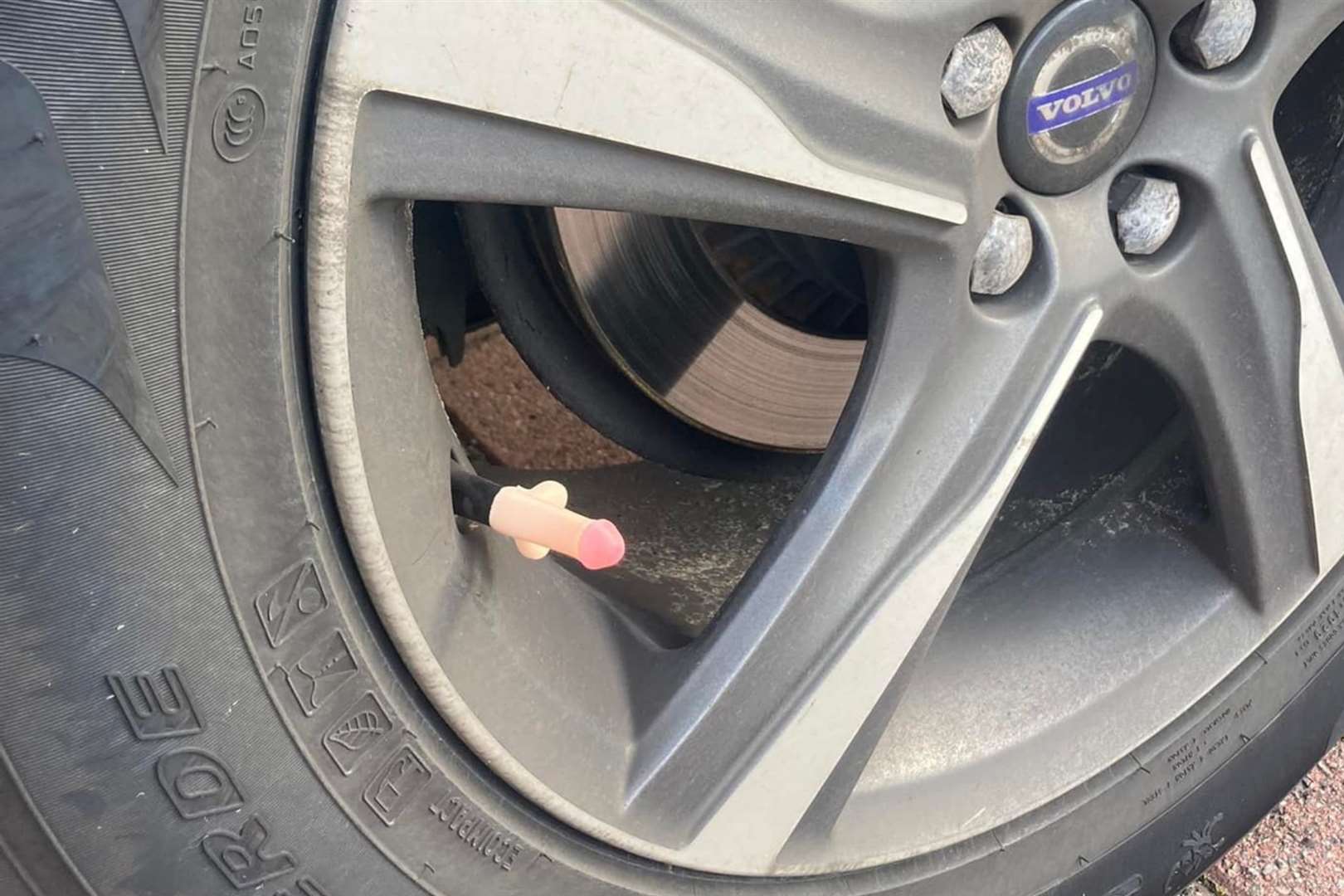 Michelle Riley found a novelty penis attached to her car