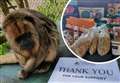 Animal parks 'overwhelmed' by donations of food