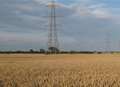 'Towering pylons will scar the countryside'