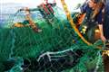 ‘Exit signs’ on fishing nets help non-target species escape