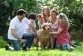 Possible link between dogs and rise in hepatitis cases in children being explored 