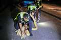 Police patrol get to grips with python after early-hours call-out