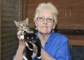 Walk-in thieves steal cat sanctuary money box 