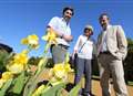 Specially-bred irises unveiled