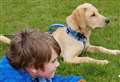 Autistic boy's quest to bring home best friend Duffy