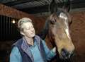 Horse rescue centre in crisis