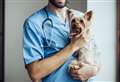 Emergency pet care firm acquired by veterinary group