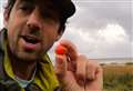 Hundreds of 'poop tomatoes' found on Kent coast