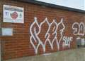 Appeal after spate of graffiti 