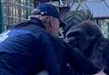 Zoo boss shares adorable moment with gorilla