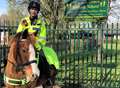 Here’s a new meaning to neigh-bourhood policing