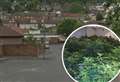 The one-bed terrace used as a cannabis factory 