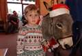 Donkeys visit Christmas party