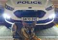 Police dog nabs suspect after dockside chase