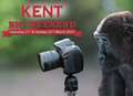 16,000 free tickets at 110 attractions - it's My Big Kent Weekend