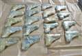 Sixty firearms seized at port