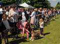Teenager punched as thousands descend on dog show