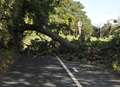 Roads closed by fallen trees