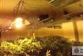 Cannabis farm found in house